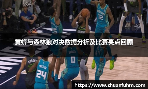 黄蜂与森林狼对决数据分析及比赛亮点回顾